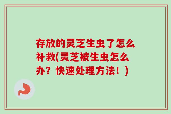 存放的灵芝生虫了怎么补救(灵芝被生虫怎么办?快速处理方法!)-第1张图片-卓越灵芝孢子粉 存放的灵芝生虫了怎么补救(灵芝被生虫怎么办?快速处理方法!)-第1张图片-卓越灵芝孢子粉