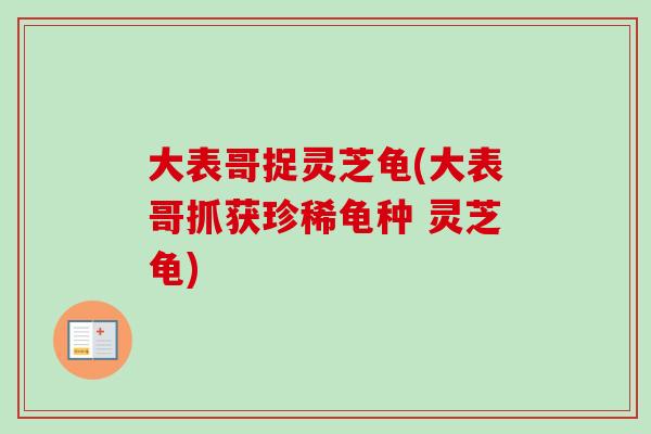 大表哥捉灵芝龟(大表哥抓获珍稀龟种 灵芝龟)-第1张图片-卓越灵芝孢子粉 大表哥捉灵芝龟(大表哥抓获珍稀龟种 灵芝龟)-第1张图片-卓越灵芝孢子粉