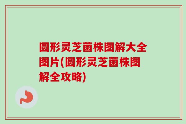 圆形灵芝菌株图解大全图片(圆形灵芝菌株图解全攻略)-第1张图片-卓越灵芝孢子粉 圆形灵芝菌株图解大全图片(圆形灵芝菌株图解全攻略)-第1张图片-卓越灵芝孢子粉