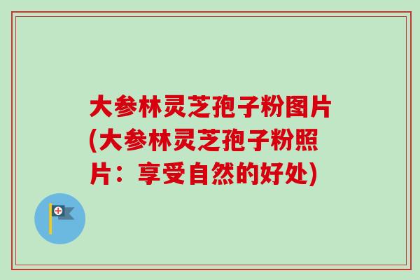 大参林灵芝孢子粉图片(大参林灵芝孢子粉照片:享受自然的好处)-第1张图片-卓越灵芝孢子粉 大参林灵芝孢子粉图片(大参林灵芝孢子粉照片:享受自然的好处)-第1张图片-卓越灵芝孢子粉