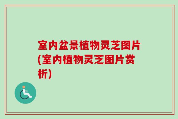 室内盆景植物灵芝图片(室内植物灵芝图片赏析)-第1张图片-卓越灵芝孢子粉