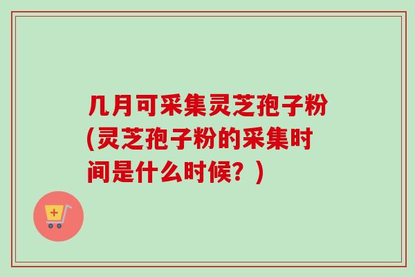 几月可采集灵芝孢子粉(灵芝孢子粉的采集时间是什么时候？)-第1张图片-卓越灵芝孢子粉
