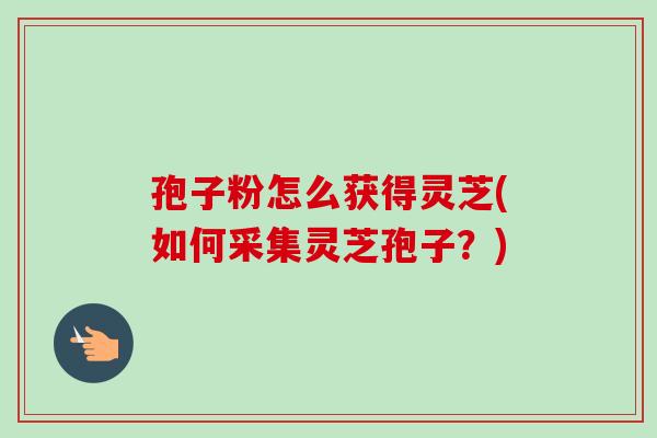 孢子粉怎么获得灵芝(如何采集灵芝孢子？)-第1张图片-卓越灵芝孢子粉