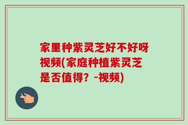 家里种紫灵芝好不好呀视频(家庭种植紫灵芝是否值得?-视频)-第1张图片-卓越灵芝孢子粉 家里种紫灵芝好不好呀视频(家庭种植紫灵芝是否值得?-视频)-第1张图片-卓越灵芝孢子粉