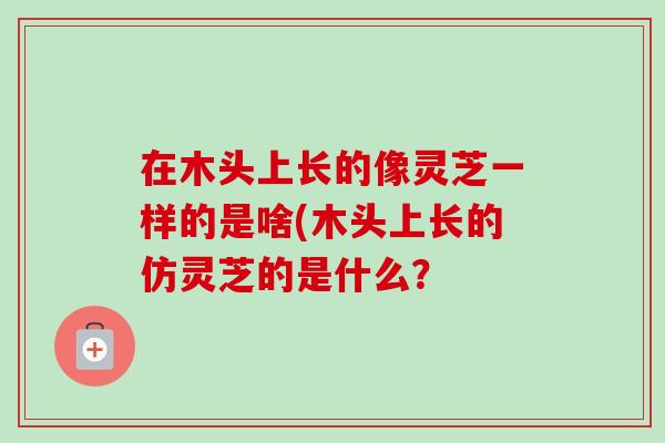 在木头上长的像灵芝一样的是啥(木头上长的仿灵芝的是什么?-第1张图片-卓越灵芝孢子粉 在木头上长的像灵芝一样的是啥(木头上长的仿灵芝的是什么?-第1张图片-卓越灵芝孢子粉