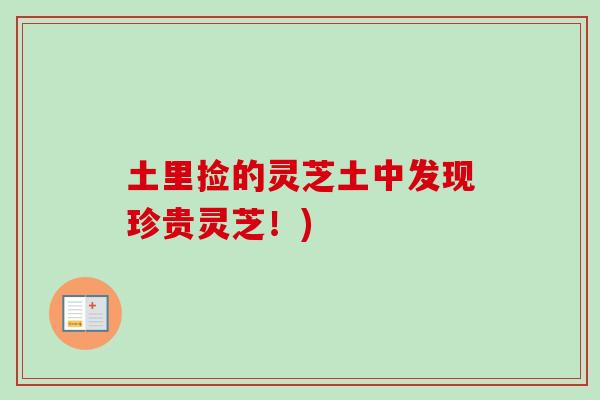 土里捡的灵芝土中发现珍贵灵芝!)-第1张图片-卓越灵芝孢子粉 土里捡的灵芝土中发现珍贵灵芝!)-第1张图片-卓越灵芝孢子粉