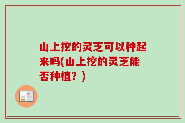 山上挖的灵芝可以种起来吗(山上挖的灵芝能否种植?)-第1张图片-卓越灵芝孢子粉 山上挖的灵芝可以种起来吗(山上挖的灵芝能否种植?)-第1张图片-卓越灵芝孢子粉