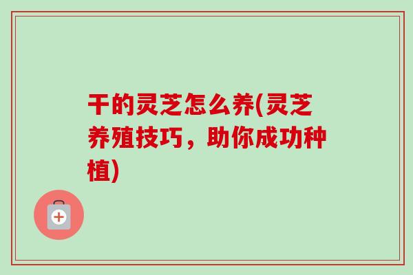 干的灵芝怎么养(灵芝养殖技巧,助你成功种植)-第1张图片-卓越灵芝孢子粉 干的灵芝怎么养(灵芝养殖技巧,助你成功种植)-第1张图片-卓越灵芝孢子粉
