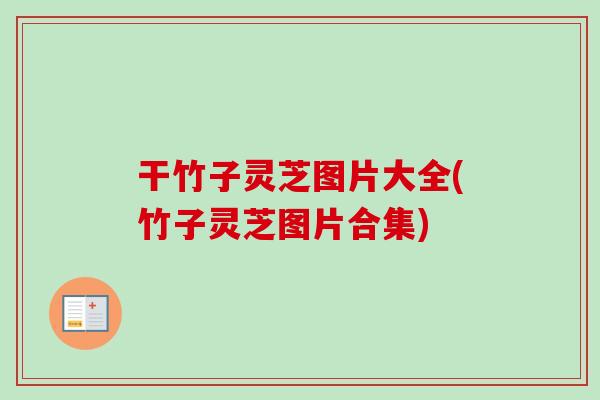 干竹子灵芝图片大全(竹子灵芝图片合集)-第1张图片-卓越灵芝孢子粉 干竹子灵芝图片大全(竹子灵芝图片合集)-第1张图片-卓越灵芝孢子粉