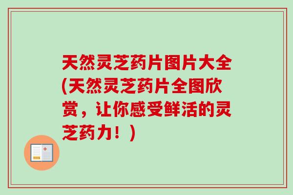 天然灵芝药片图片大全(天然灵芝药片全图欣赏,让你感受鲜活的灵芝药力!)-第1张图片-卓越灵芝孢子粉 天然灵芝药片图片大全(天然灵芝药片全图欣赏,让你感受鲜活的灵芝药力!)-第1张图片-卓越灵芝孢子粉
