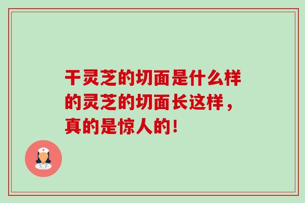 干灵芝的切面是什么样的灵芝的切面长这样，真的是惊人的！-第1张图片-卓越灵芝孢子粉