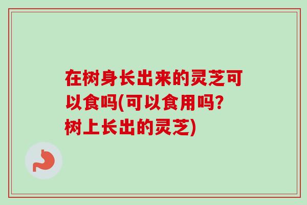 在树身长出来的灵芝可以食吗(可以食用吗?树上长出的灵芝)-第1张图片-卓越灵芝孢子粉 在树身长出来的灵芝可以食吗(可以食用吗?树上长出的灵芝)-第1张图片-卓越灵芝孢子粉