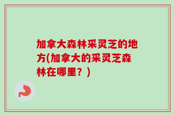 加拿大森林采灵芝的地方(加拿大的采灵芝森林在哪里?)-第1张图片-卓越灵芝孢子粉 加拿大森林采灵芝的地方(加拿大的采灵芝森林在哪里?)-第1张图片-卓越灵芝孢子粉