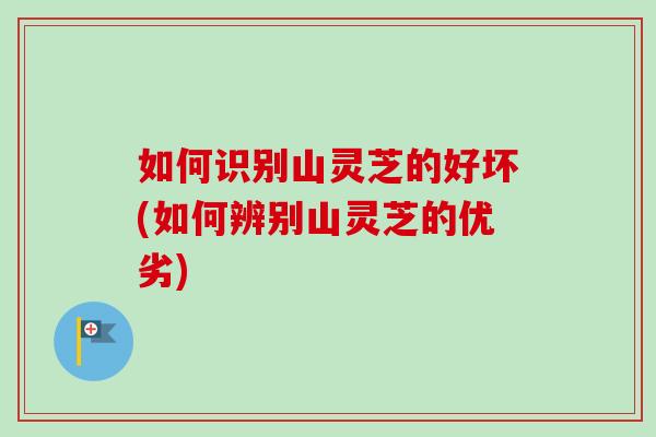如何识别山灵芝的好坏(如何辨别山灵芝的优劣)-第1张图片-卓越灵芝孢子粉 如何识别山灵芝的好坏(如何辨别山灵芝的优劣)-第1张图片-卓越灵芝孢子粉
