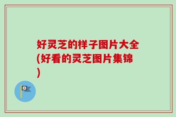 好灵芝的样子图片大全(好看的灵芝图片集锦)-第1张图片-卓越灵芝孢子粉 好灵芝的样子图片大全(好看的灵芝图片集锦)-第1张图片-卓越灵芝孢子粉