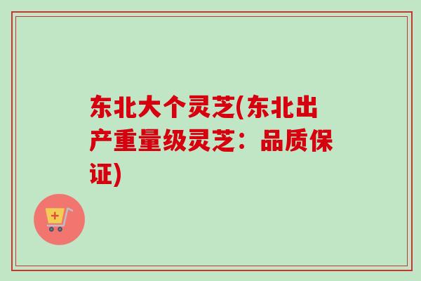 东北大个灵芝(东北出产重量级灵芝:品质保证)-第1张图片-卓越灵芝孢子粉 东北大个灵芝(东北出产重量级灵芝:品质保证)-第1张图片-卓越灵芝孢子粉