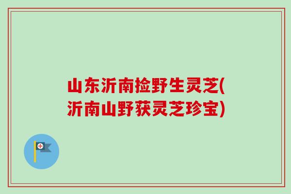 山东沂南捡野生灵芝(沂南山野获灵芝珍宝)-第1张图片-卓越灵芝孢子粉 山东沂南捡野生灵芝(沂南山野获灵芝珍宝)-第1张图片-卓越灵芝孢子粉