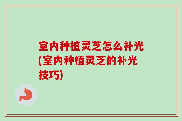 室内种植灵芝怎么补光(室内种植灵芝的补光技巧)-第1张图片-卓越灵芝孢子粉 室内种植灵芝怎么补光(室内种植灵芝的补光技巧)-第1张图片-卓越灵芝孢子粉
