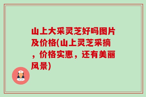 山上大采灵芝好吗图片及价格(山上灵芝采摘,价格实惠,还有美丽风景)-第1张图片-卓越灵芝孢子粉 山上大采灵芝好吗图片及价格(山上灵芝采摘,价格实惠,还有美丽风景)-第1张图片-卓越灵芝孢子粉