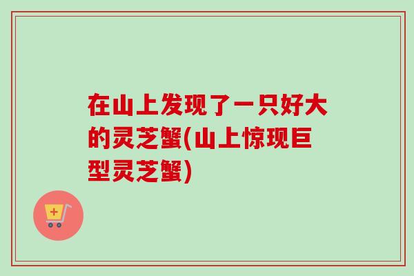 在山上发现了一只好大的灵芝蟹(山上惊现巨型灵芝蟹)-第1张图片-卓越灵芝孢子粉 在山上发现了一只好大的灵芝蟹(山上惊现巨型灵芝蟹)-第1张图片-卓越灵芝孢子粉