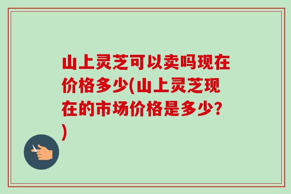 山上灵芝可以卖吗现在价格多少(山上灵芝现在的市场价格是多少?)-第1张图片-卓越灵芝孢子粉 山上灵芝可以卖吗现在价格多少(山上灵芝现在的市场价格是多少?)-第1张图片-卓越灵芝孢子粉