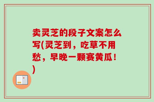 卖灵芝的段子文案怎么写(灵芝到,吃草不用愁,早晚一颗赛黄瓜!)-第1张图片-卓越灵芝孢子粉 卖灵芝的段子文案怎么写(灵芝到,吃草不用愁,早晚一颗赛黄瓜!)-第1张图片-卓越灵芝孢子粉