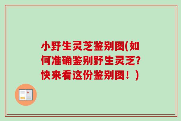 小野生灵芝鉴别图(如何准确鉴别野生灵芝?快来看这份鉴别图!)-第1张图片-卓越灵芝孢子粉 小野生灵芝鉴别图(如何准确鉴别野生灵芝?快来看这份鉴别图!)-第1张图片-卓越灵芝孢子粉