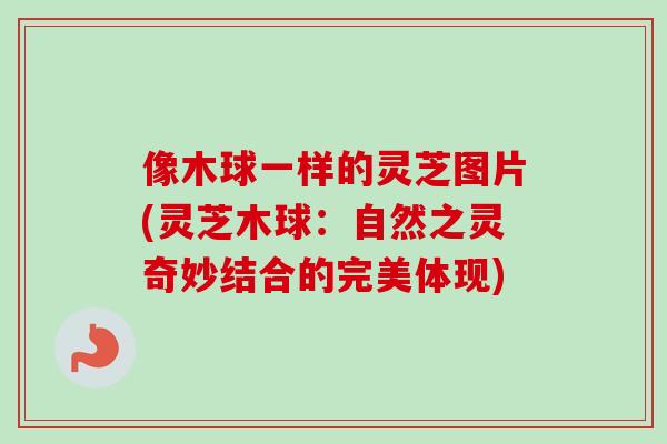 像木球一样的灵芝图片(灵芝木球：自然之灵奇妙结合的完美体现)-第1张图片-卓越灵芝孢子粉