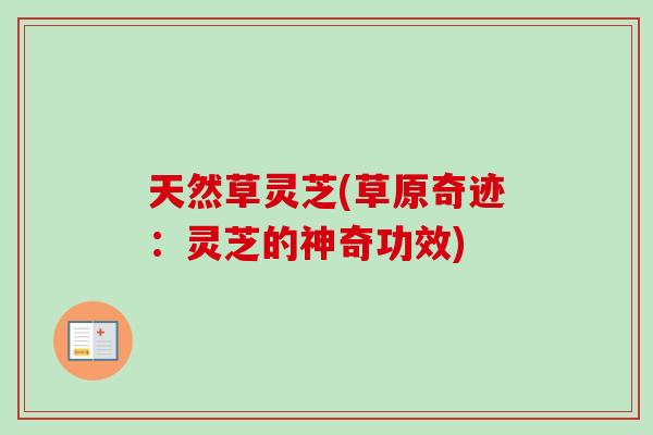 天然草灵芝(草原奇迹:灵芝的神奇功效)-第1张图片-卓越灵芝孢子粉 天然草灵芝(草原奇迹:灵芝的神奇功效)-第1张图片-卓越灵芝孢子粉
