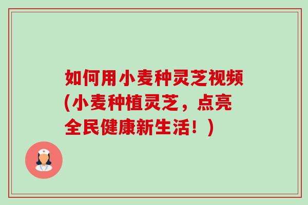 如何用小麦种灵芝视频(小麦种植灵芝,点亮全民健康新生活!)-第1张图片-卓越灵芝孢子粉 如何用小麦种灵芝视频(小麦种植灵芝,点亮全民健康新生活!)-第1张图片-卓越灵芝孢子粉