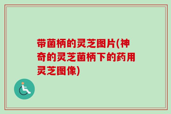 带菌柄的灵芝图片(神奇的灵芝菌柄下的药用灵芝图像)-第1张图片-卓越灵芝孢子粉 带菌柄的灵芝图片(神奇的灵芝菌柄下的药用灵芝图像)-第1张图片-卓越灵芝孢子粉