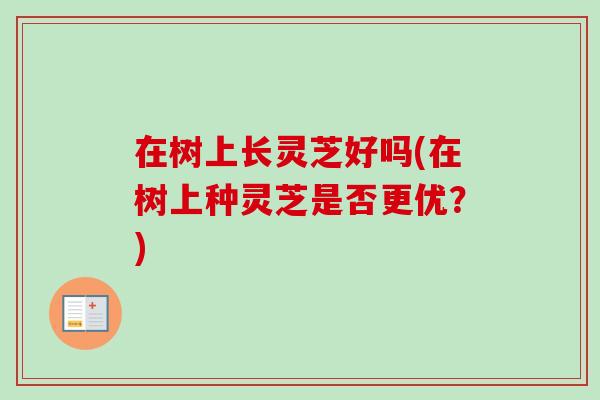 在树上长灵芝好吗(在树上种灵芝是否更优?)-第1张图片-卓越灵芝孢子粉 在树上长灵芝好吗(在树上种灵芝是否更优?)-第1张图片-卓越灵芝孢子粉