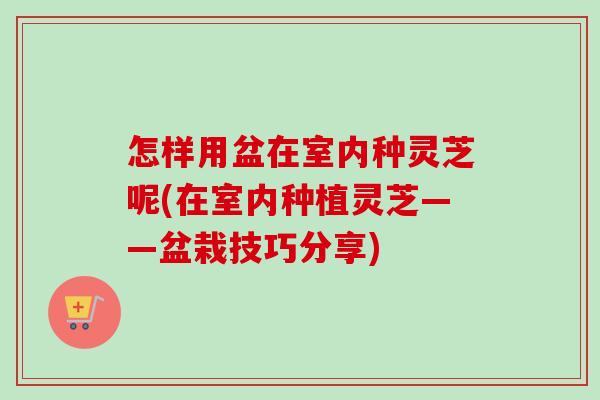 怎样用盆在室内种灵芝呢(在室内种植灵芝——盆栽技巧分享)-第1张图片-卓越灵芝孢子粉 怎样用盆在室内种灵芝呢(在室内种植灵芝——盆栽技巧分享)-第1张图片-卓越灵芝孢子粉