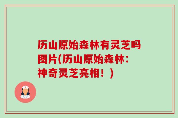 历山原始森林有灵芝吗图片(历山原始森林:神奇灵芝亮相!)-第1张图片-卓越灵芝孢子粉 历山原始森林有灵芝吗图片(历山原始森林:神奇灵芝亮相!)-第1张图片-卓越灵芝孢子粉