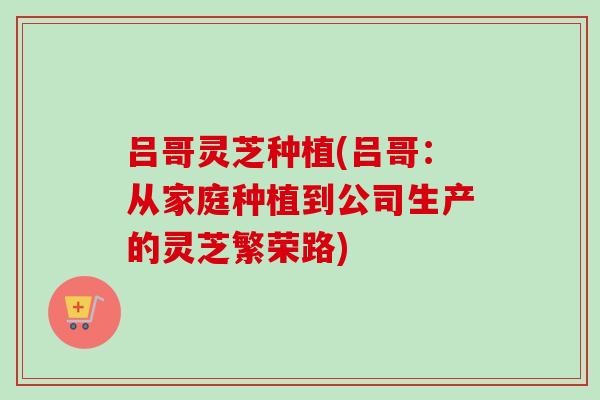 吕哥灵芝种植(吕哥:从家庭种植到公司生产的灵芝繁荣路)-第1张图片-卓越灵芝孢子粉 吕哥灵芝种植(吕哥:从家庭种植到公司生产的灵芝繁荣路)-第1张图片-卓越灵芝孢子粉