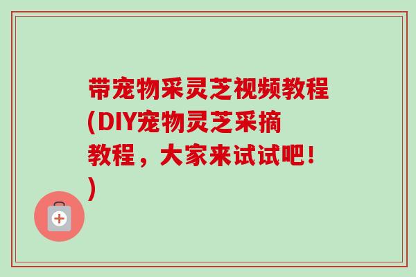 带宠物采灵芝视频教程(DIY宠物灵芝采摘教程，大家来试试吧！)-第1张图片-卓越灵芝孢子粉