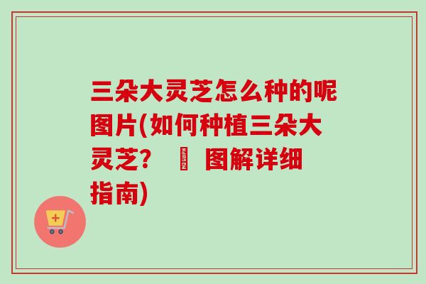 三朵大灵芝怎么种的呢图片(如何种植三朵大灵芝? – 图解详细指南)-第1张图片-卓越灵芝孢子粉 三朵大灵芝怎么种的呢图片(如何种植三朵大灵芝? – 图解详细指南)-第1张图片-卓越灵芝孢子粉