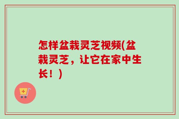怎样盆栽灵芝视频(盆栽灵芝，让它在家中生长！)-第1张图片-卓越灵芝孢子粉