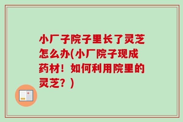 小厂子院子里长了灵芝怎么办(小厂院子现成药材!如何利用院里的灵芝?)-第1张图片-卓越灵芝孢子粉 小厂子院子里长了灵芝怎么办(小厂院子现成药材!如何利用院里的灵芝?)-第1张图片-卓越灵芝孢子粉