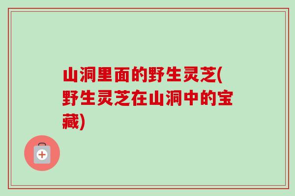 山洞里面的野生灵芝(野生灵芝在山洞中的宝藏)-第1张图片-卓越灵芝孢子粉