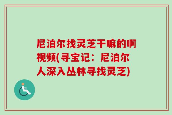 尼泊尔找灵芝干嘛的啊视频(寻宝记:尼泊尔人深入丛林寻找灵芝)-第1张图片-卓越灵芝孢子粉 尼泊尔找灵芝干嘛的啊视频(寻宝记:尼泊尔人深入丛林寻找灵芝)-第1张图片-卓越灵芝孢子粉
