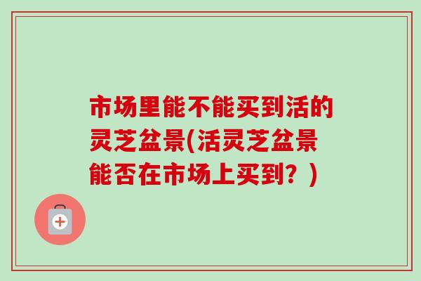 市场里能不能买到活的灵芝盆景(活灵芝盆景能否在市场上买到?)-第1张图片-卓越灵芝孢子粉 市场里能不能买到活的灵芝盆景(活灵芝盆景能否在市场上买到?)-第1张图片-卓越灵芝孢子粉