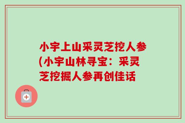 小宇上山采灵芝挖人参(小宇山林寻宝:采灵芝挖掘人参再创佳话-第1张图片-卓越灵芝孢子粉 小宇上山采灵芝挖人参(小宇山林寻宝:采灵芝挖掘人参再创佳话-第1张图片-卓越灵芝孢子粉