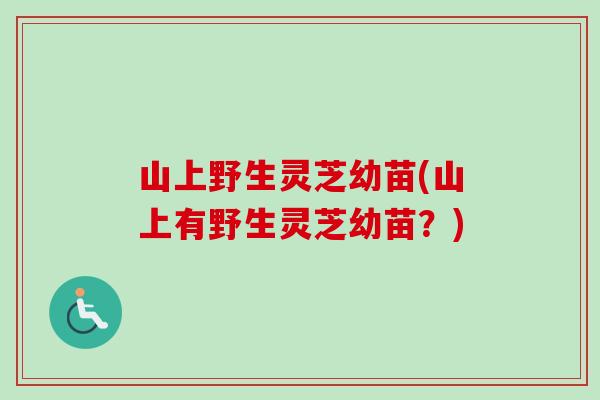 山上野生灵芝幼苗(山上有野生灵芝幼苗?)-第1张图片-卓越灵芝孢子粉 山上野生灵芝幼苗(山上有野生灵芝幼苗?)-第1张图片-卓越灵芝孢子粉