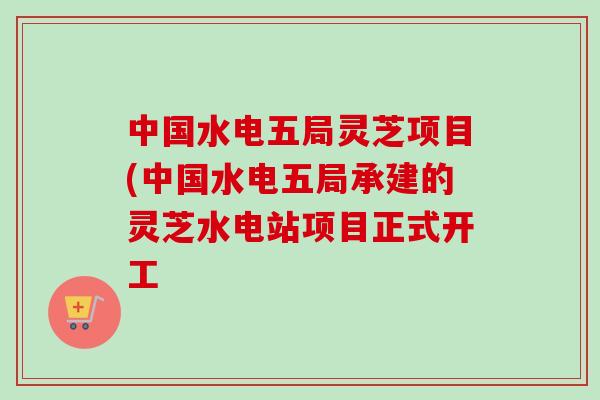 中国水电五局灵芝项目(中国水电五局承建的灵芝水电站项目正式开工-第1张图片-卓越灵芝孢子粉 中国水电五局灵芝项目(中国水电五局承建的灵芝水电站项目正式开工-第1张图片-卓越灵芝孢子粉