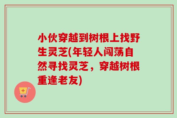 小伙穿越到树根上找野生灵芝(年轻人闯荡自然寻找灵芝，穿越树根重逢老友)-第1张图片-卓越灵芝孢子粉
