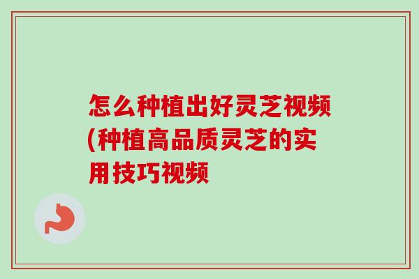 怎么种植出好灵芝视频(种植高品质灵芝的实用技巧视频-第1张图片-卓越灵芝孢子粉 怎么种植出好灵芝视频(种植高品质灵芝的实用技巧视频-第1张图片-卓越灵芝孢子粉