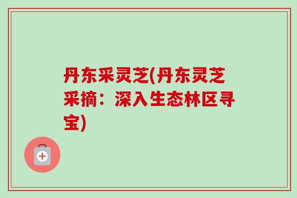 丹东采灵芝(丹东灵芝采摘：深入生态林区寻宝)-第1张图片-卓越灵芝孢子粉