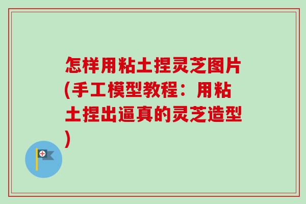 怎样用粘土捏灵芝图片(手工模型教程:用粘土捏出逼真的灵芝造型)-第1张图片-卓越灵芝孢子粉 怎样用粘土捏灵芝图片(手工模型教程:用粘土捏出逼真的灵芝造型)-第1张图片-卓越灵芝孢子粉
