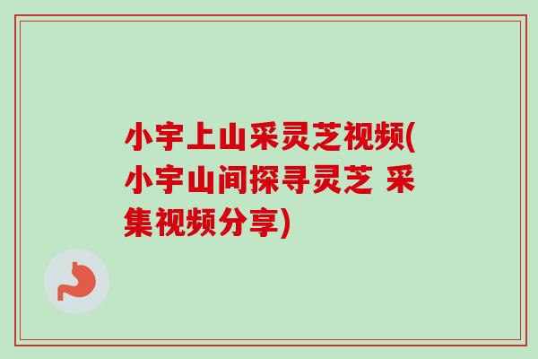 小宇上山采灵芝视频(小宇山间探寻灵芝 采集视频分享)-第1张图片-卓越灵芝孢子粉 小宇上山采灵芝视频(小宇山间探寻灵芝 采集视频分享)-第1张图片-卓越灵芝孢子粉